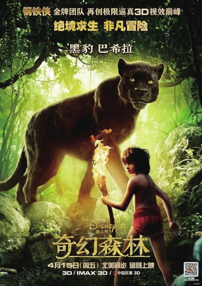 国际驾照样本图片